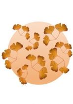 Stickers gingko beige