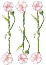 Stickers frise de fleurs.