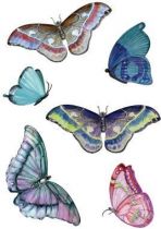 Stickers planche papillons.