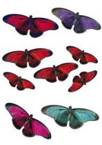 Stickers planche de neuf papillons.