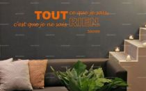 Sticker citation "Tout ce que je sais..." de Socrate. Sticker adh�sif d�coup�s � la forme dans vinyle de couleur unie, ce visuel apportera une subtile touche d'originalit� dans votre int�rieur.