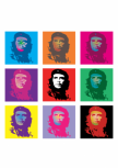 stickers muraux che guevara, sticker mural che guevara, stickers che guevara, adh�sif d�co che guevara, autocollant che guevara, portrait che guevara