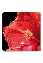 D�coration florale sur interrupteur