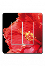 D�coration florale sur interrupteur