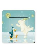 interrupteur pole nord