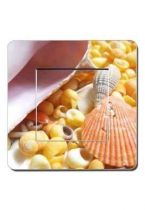 Interrupteur coquillage