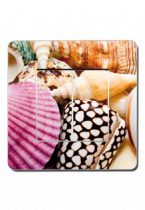 Interrupteur coquillages d'�t�