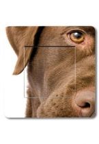 Interrupteur d�co chien
