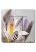 Interrupteur d�co fleur blanche