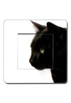 interrupteur chat noir