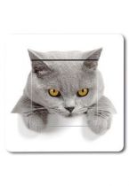 Interrupteur d�cor� chartreux