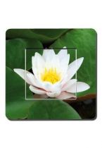 Interrupteur d�cor� fleur de printemps