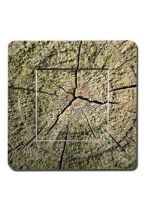 interrupteur deco bois