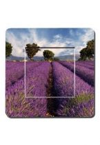 interrupteur provence