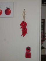 interrupteur poivron