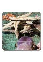 Interrupteurs d�cor�s coquillages et crustac�s