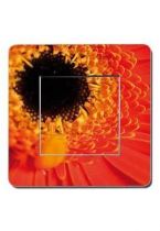 Interrupteurs d�cor�s fleur