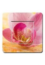 Interrupteurs d�cor�s fleur rose