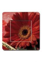 Interrupteurs d�cor�s fleur rouge