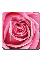 Interrupteurs d�cor�s p�tales de rose