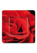 Interrupteurs d�cor�s p�tales de rose
