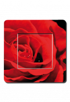 Interrupteurs d�cor�s p�tales de rose