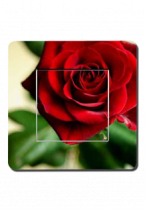 Interrupteurs d�cor�s rose rouge