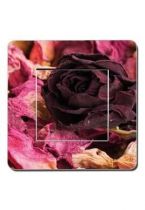 Interrupteurs d�cor�s roses s�ch�es