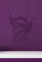 miroir papillon deco