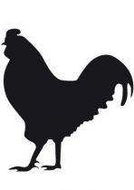 sticker ardoise coq.