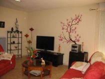 stickers branche japonaise en vente sur iDzif.com