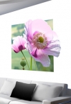 Stickers le pavot en fleur. Ce sticker 3D est aussi un trompe l'oeil, ce sticker se fond dans le d�cor et inspire une toile murale. Ce stickers met en sc�ne une fleur de couleur parme comme un tableau d'artiste : un gros plan sur les p�tales et sur le  pistil. On est transport� dans un champ de pavot avec cette d�co un peu pop art. Ce sticker est imprim� sur un vinyle adh�sif d�coup� � la forme. Cr�ation Sylvie Zieba. 