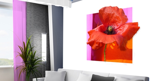 stickers muraux coquelicot