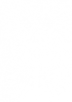 Stickers 4 Coquillages