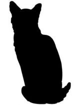 stickers ombre du chat