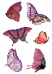 stickers papillon
