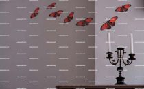 stickers muraux papillon