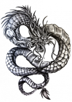 Stickers Asie dragon