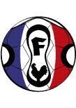 Stickers ballon de football : Franceballe imprim� sur adh�sif avec d�coupe � la forme. Stickers vu dans d&co sur M6