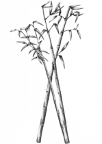 Stickers bambou trio