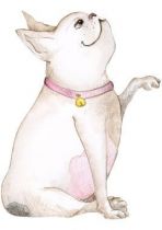 stickers bouledogue decoration murale