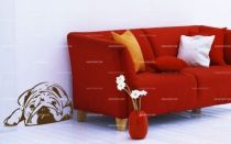 Stickers Bulldog anglais