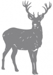 Le roi de la for�t est sur iDzif.com Pour d�corer sur le th�me forestier, optez pour ce sticker cerf