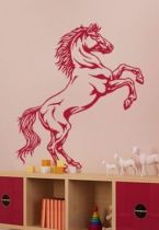 stickers cheval equitation
