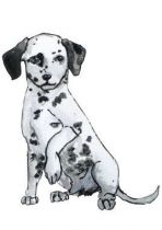 stickers muraux chien