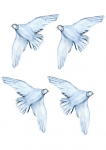 stickers oiseau paix