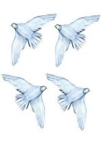 stickers oiseau paix