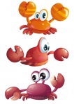 stickers crabes