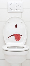 stickers abattant wc