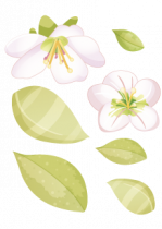 Stickers fleurs